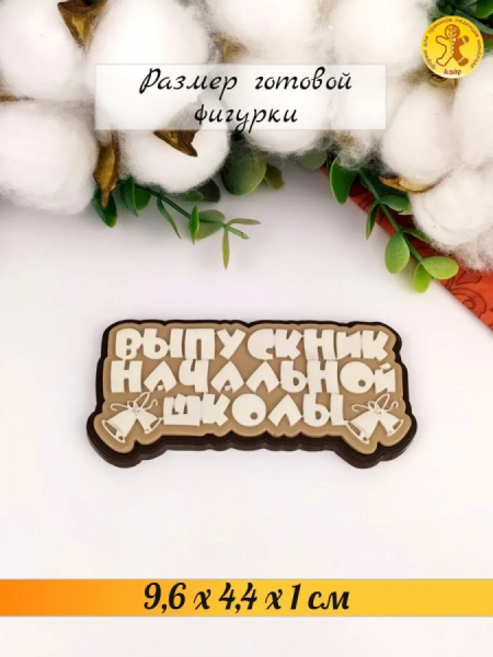 силиконовая форма №1504 "Выпускник начальной школы" 